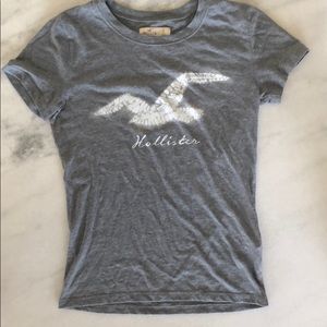 hollister shirt